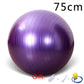 Yoga Balls Bola Pilates Fitness Gym Balance Fit Ball