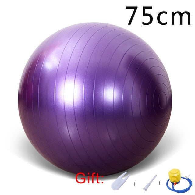 Yoga Balls Bola Pilates Fitness Gym Balance Fit Ball