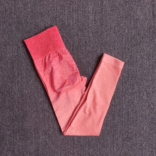 Gym Clothing High Waist Sports Suit